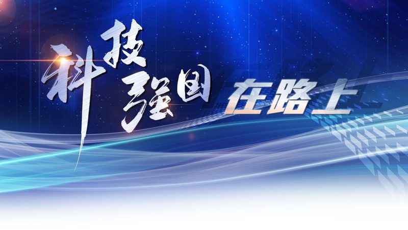 数据湖与AI平台：价格背后的价值考量